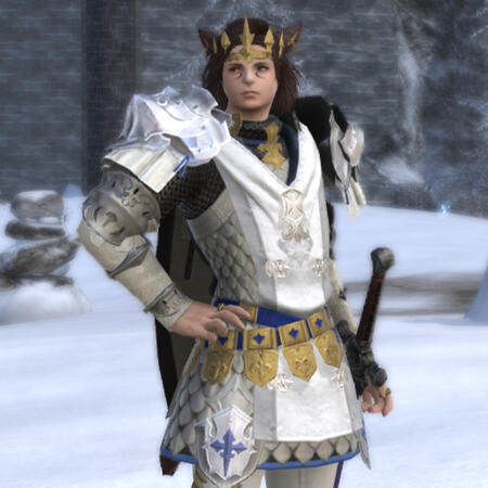 Kheda looks to the side while wear polished paladin armor. His hand is on his hip, and his sword is sheathed at his side.