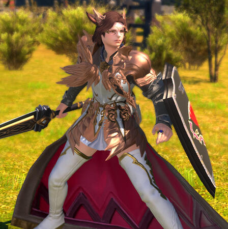 Kheda in pink-gold paladin's armor, with a short skirt and white thigh high boots. His sword and shield are drawn as he stands in a battle stance.